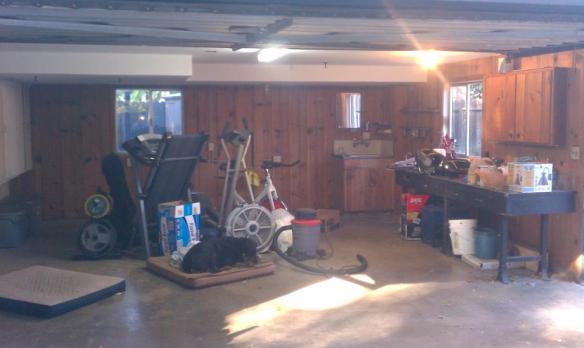 before garage pic3