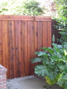 staining fences and screen posts 014
