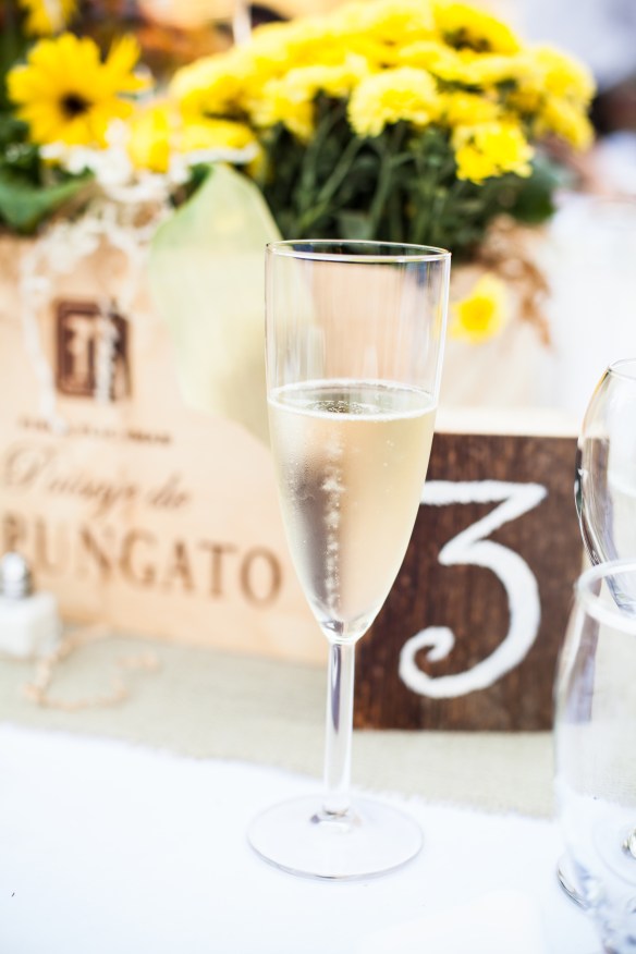 120929__kristyweldonphotography_423