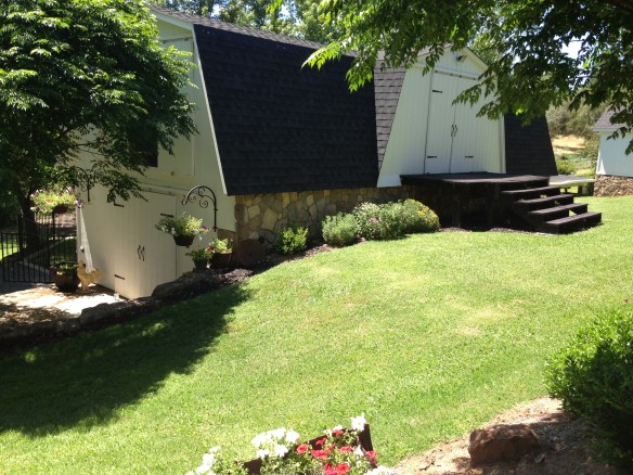 ipone pics 6-16-2013 009