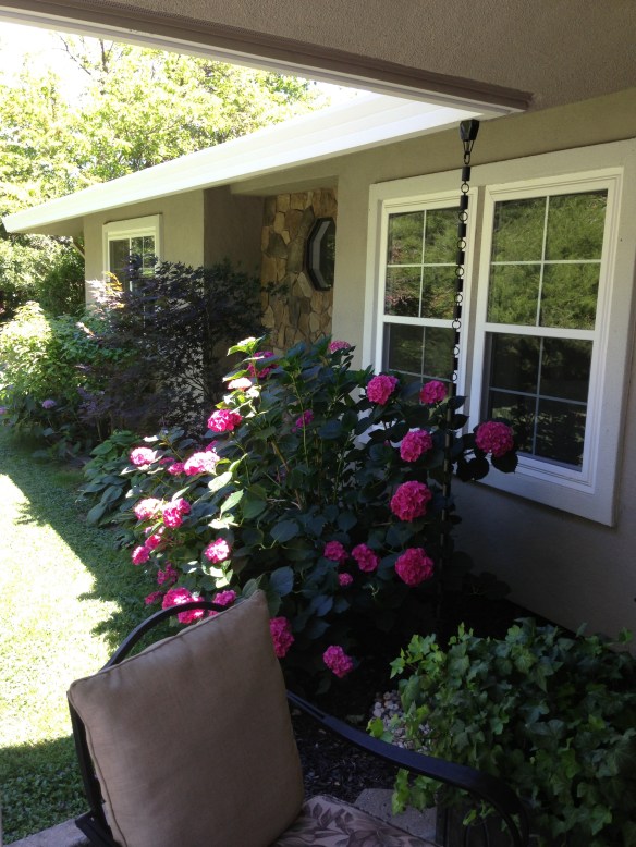 ipone pics 6-16-2013 014