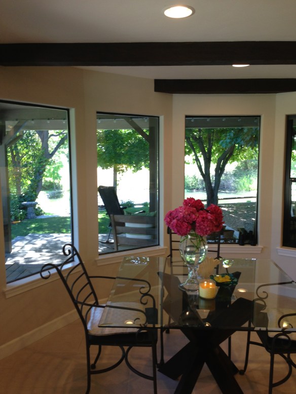 ipone pics 6-16-2013 027