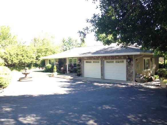 ipone pics 6-16-2013 029