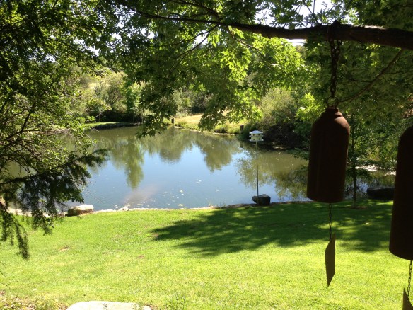 ipone pics 6-16-2013 038