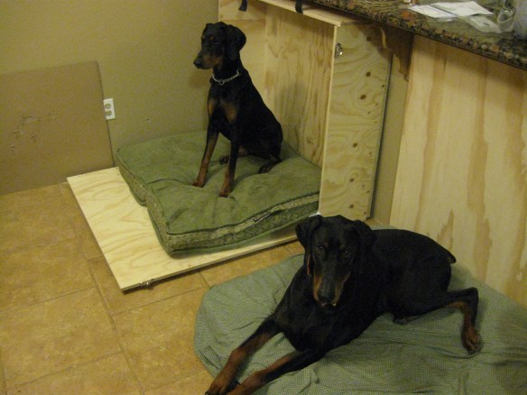 murphy dog beds 005