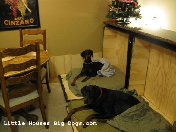 murphy dog beds 010