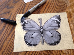 butterfly fence art 002