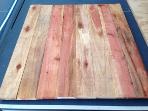 butterfly fence art 006