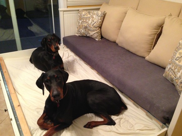 oar curtains and dog bed pillows 030