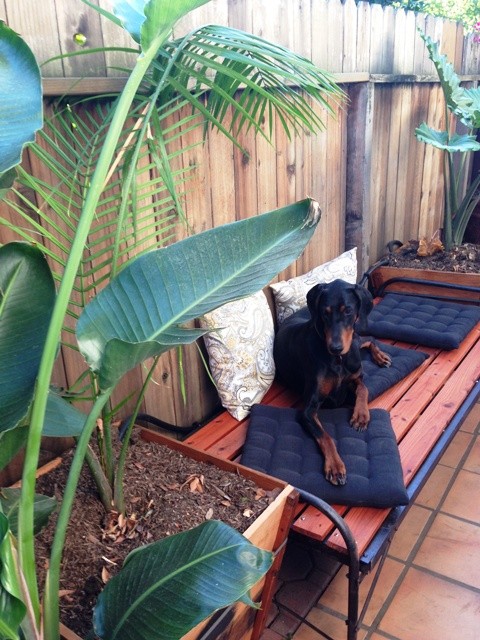 antique cot meditation bench platform outdoor dog bed 019