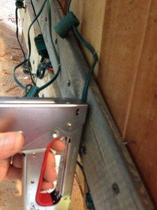 california marquee 017