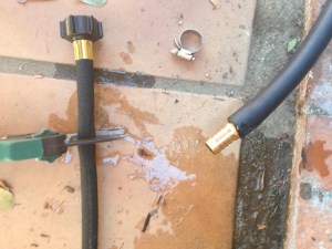 Dog proof drip line soaker house 007