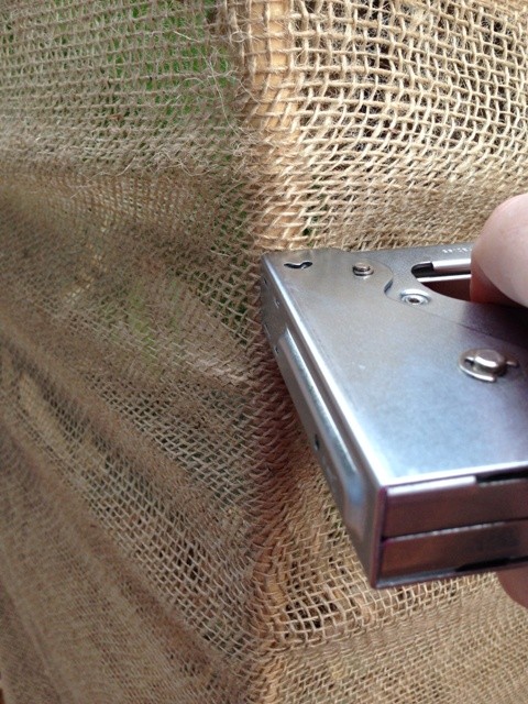 protecting plants from frost 009