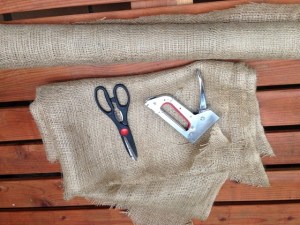 protecting plants from frost 010