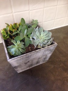 Painting ceramic tile backsplash.jpg