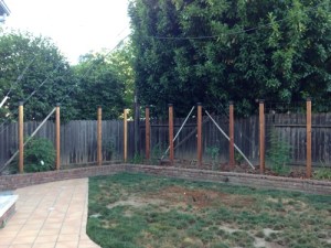 before-pic-small-california-backyard-transformation-water-wise-dog-proof.jpg