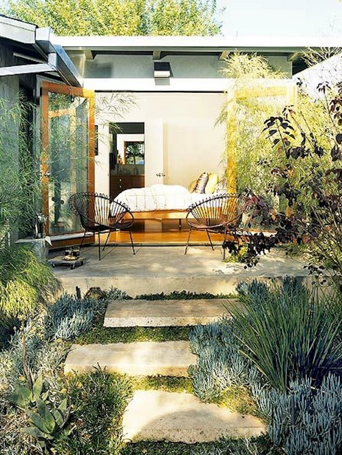 drought tolerant elegant lush backyards