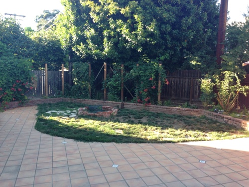 small-backyard-water-wise-and-dog-friendly-makeover-before-pic-.jpg