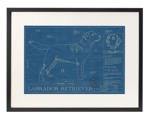 framed-blue-print-of-dog.jpg