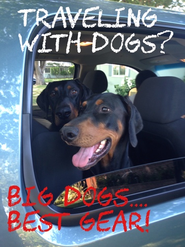 travelling-with-big-dogs-best-gear-.jpg